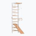 Gymnastický rebrík RINAGYM SPR B+SLIDE