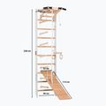 Gymnastický rebrík RINAGYM SPR A+SLIDE 2