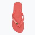 Žabky Havaianas Brasil Logo tropical coral 5