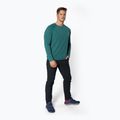 Pánske trekingové tričko Black Diamond Alpenglow Crew green AP7520923028SML1 2