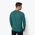 Pánske trekingové tričko Black Diamond Alpenglow Crew green AP7520923028SML1 3