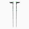 Lyžiarske palice Black Diamond Traverse 3 zelené BD11159400001251