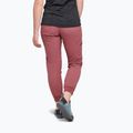 Dámske lezecké nohavice Black Diamond Technician Jogger pink AP7501352009SML1 2