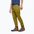 Pánske lezecké nohavice Black Diamond Notion light green AP7500603039SML1 3