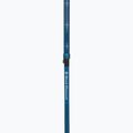 Trekingové palice Black Diamond Distance Carbon Flz desert sky 4