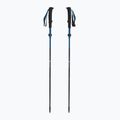 Trekingové palice Black Diamond Distance Carbon Flz desert sky 5