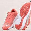 PUMA Aviator Profoam Sky 12 bežecká obuv ružová 376615 12 15