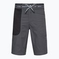 Pánske lezecké šortky La Sportiva Ecstatic sivé N64900999