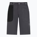 Pánske lezecké šortky La Sportiva Ecstatic sivé N64900999 5