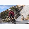 Pánske cestné topánky Northwave Celsius R GTX black 4