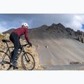 Pánske cestné topánky Northwave Celsius R GTX black 5