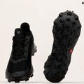 Salomon Alphacross 4 GTX pánska trailová obuv L47064000 21
