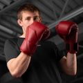 Boxerské rukavice Hayabusa E1 Leather red 6