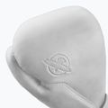 Boxerské rukavice Hayabusa T360 Leather white 3