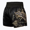 Pánske tréningové šortky Hayabusa Falcon Muay Thai black 2