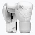 Boxerské rukavice Hayabusa T3 Kanpeki arctic white