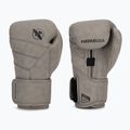 Boxerské rukavice Hayabusa T3 LX slate