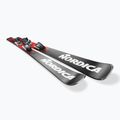Dámske zjazdové lyže Nordica Wild Belle 78 + viazania TP2COMP10 FDT black/water 4