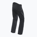 Pánske lyžiarske nohavice Dainese Hp Talus black concept 6
