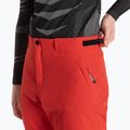 Pánske lyžiarske nohavice Dainese Dermizax Ev high/risk/red 4