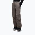 Pánske lyžiarske nohavice Oakley Wintertide Softshell granite gray