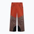 Pánske lyžiarske nohavice Oakley Canopy Pro Insulated Dark Umber/Flame Red 6