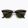 Slnečné okuliare Ray-Ban Clubmaster Classic tortoiseshell/gold 3