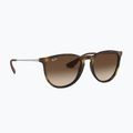 Slnečné okuliare Ray-Ban Erika Classic matt havana/brown
