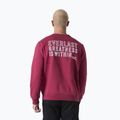 Pánska mikina Everlast Neutrals Crewneck bordeaux 3