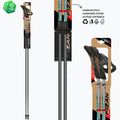 Palice na nordic walking Fizan Carbon Pro Impulse grey 6