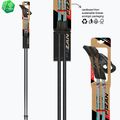 Palice na nordic walking Fizan Tekno Impulse grey 6