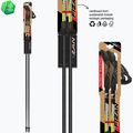 Palice na nordic walking Fizan Tekno yellow 6