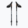 Palice na nordic walking Fizan R-Evolution beige 5