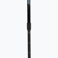 Palice na nordic walking Fizan Speed black 4