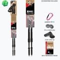 Palice na nordic walking Fizan Speed black 5