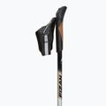 Palice na nordic walking Fizan Speed beige 2