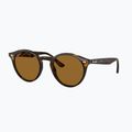 Slnečné okuliare Ray-Ban RB2180 light havana/brown polarized 4