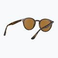 Slnečné okuliare Ray-Ban RB2180 light havana/brown polarized 6