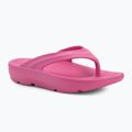 Dámske žabky Ellesse Aletha fuxia