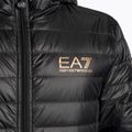 Pánska bunda EA7 Emporio Armani Train Core ID Down Light Hoodie black/gold s logom 3