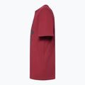Pánske tričko Oakley Bark Ellipse Tee iron red 3