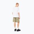 Pánske tričko Oakley Wired Mtn Scape Tee white 3