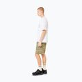 Pánske tričko Oakley Wired Mtn Scape Tee white 4