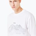 Pánske tričko Oakley Wired Mtn Scape Tee white 5