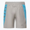 Pánske šortky Oakley Training Sidepanel cement 2