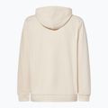 Pánska mikina Oakley New Ellipse Hoodie Sweatshirt mist 2