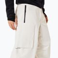 Pánske snowboardové nohavice Oakley Channel Cargo mist 4