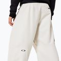 Pánske snowboardové nohavice Oakley Channel Cargo mist 7