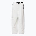 Pánske snowboardové nohavice Oakley Channel Cargo mist 8