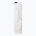 Pánske snowboardové nohavice Oakley Channel Cargo mist 10